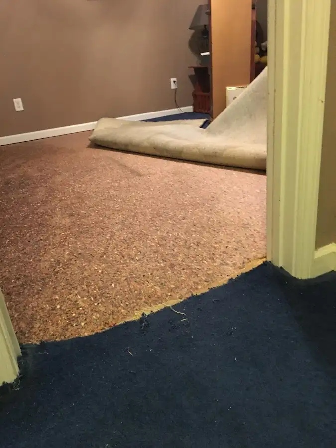 Carpet pad removal revealing water damage during Water Mitigation Services in Springdale